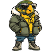 Papagai Cool Winter