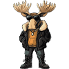 Moose Cool Winter