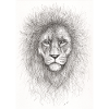 Very serious lion
