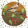 Bunter Vogel