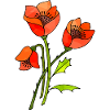 Blumen