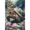 Illustration of a turtle