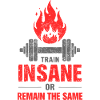 Train Insane – No Limits Fitness Shirt