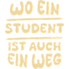 Student as a student