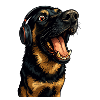 Headphone Rottweiler Portrait