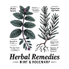 Mint & Rosemary - Medicinal Plants
