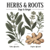 Herbs & Roots – Sage & Ginger