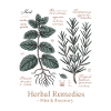 Medicinal plants – mint & rosemary