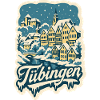 Tübingen Baden-Württemberg Winter