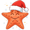 Starfish Christmas