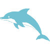 Dauphin Dauphins T-shirt Cadeau