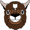 Lama Kopf