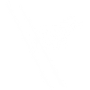 Skier