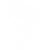 Skier