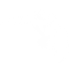 Snowboard