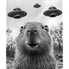 Selfie de capybara avec OVNI