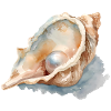 Aquarelle Coquillage avec Perle