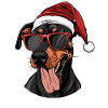 Doberman chien Noël drôle