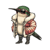 Hummingbird Bird Cool Winter