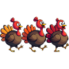 Bébé dinde de Thanksgiving