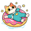 Cat on pastel floating donut