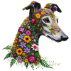 Galgo Wildblumen Nr1