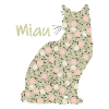 Miaou - Chat