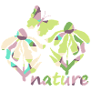 Couleur Nature - Floraison