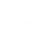 Meowment Camera Cat Motif