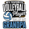 Volleyball Grandpa - Favorite Player Design