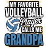 Volleyball Grandpa - Favorite Player Design