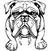 Bulldog Dog T-shirt Dog Shirt Gift