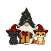 Chat avec gnome