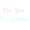Gender Reveal New Year
