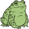 Fat toad