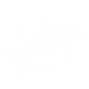 requin prédateur prédateur de l’océan