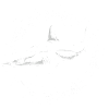 requin prédateur prédateur de l’océan