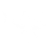requin prédateur prédateur de l’océan