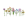 Find me where wildflowers grow