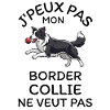 Chiot Border Collie Ball