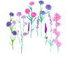 Wax Wildflower Design