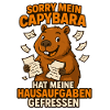 Mon capybara a mangé mes devoirs