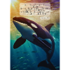 Orca Underwater Hope Verse
