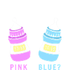 Gender Reveal New Year