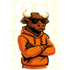 Cool bull Texas style