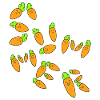 Carrot summer
