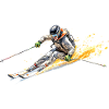 Skier