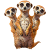 Erdmannchen