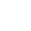 Geometric Wolf Head