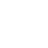 Cerveau Motard Anatomie